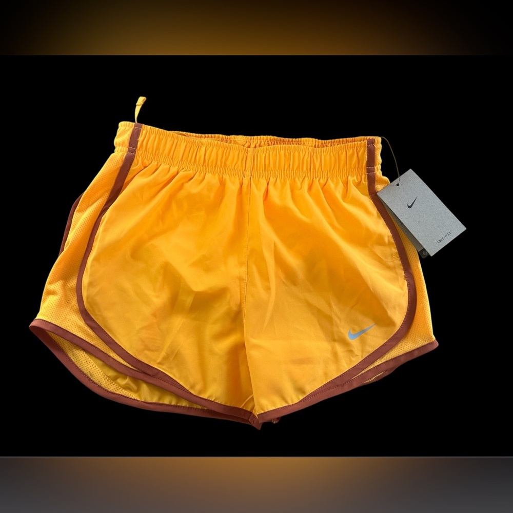 Nike Athletic Shorts